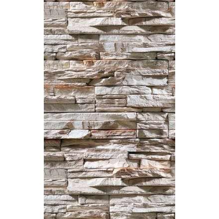 Фиброцементная плита Фаспан Дикий камень №1007 Вертикаль (1200х800х8 мм) купить в Пинске