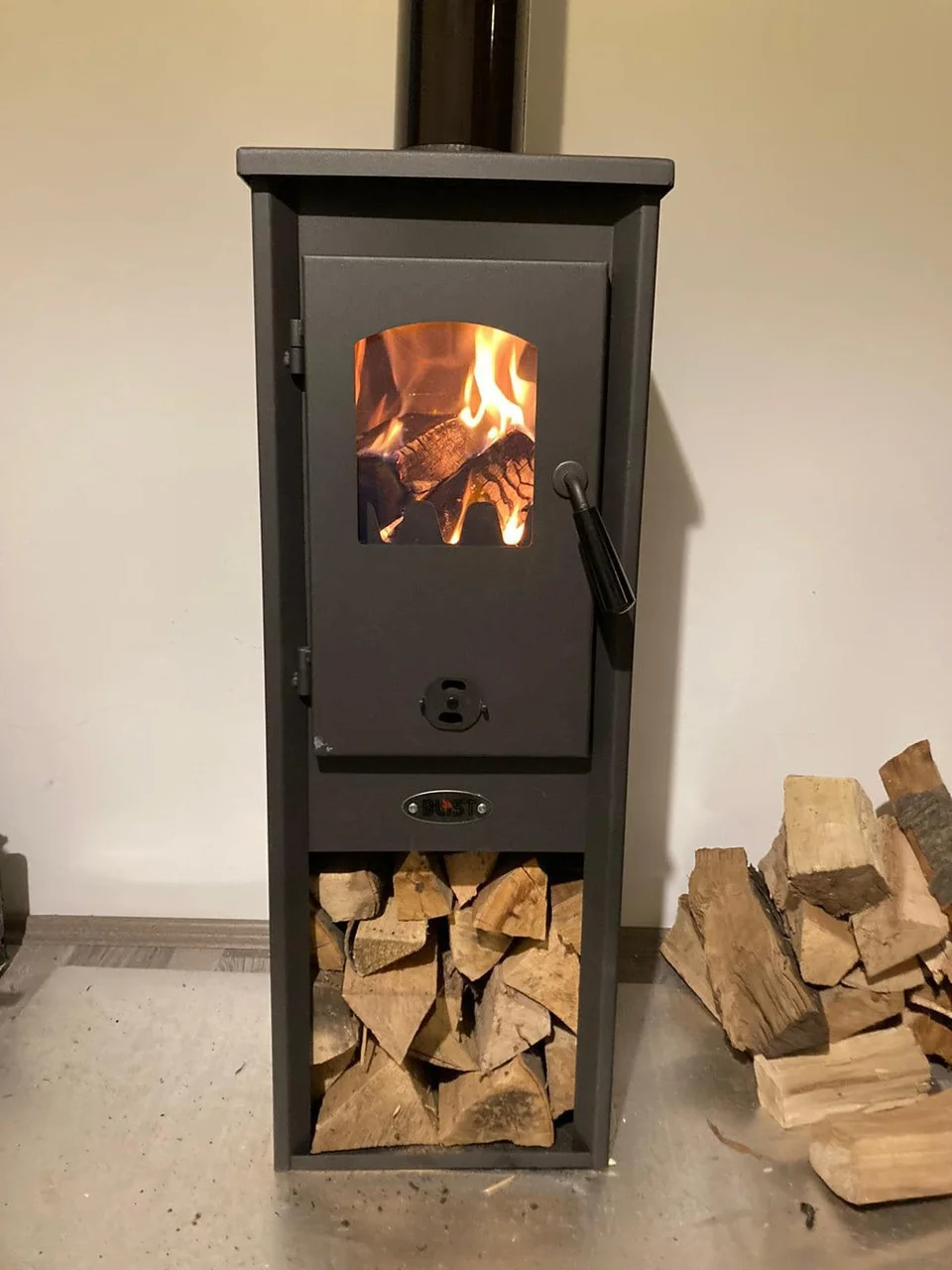 Печь-камин Blist Ekonomik Lux LM N стальная дверца Амазонка бай фото в Пинске