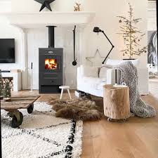 Печь-камин Blist B 2 Амазонка бай фото в Пинске