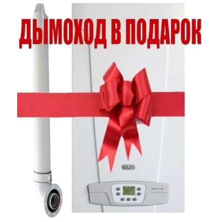 Газовый котел Baxi ECO 4S 1.24F в Пинске