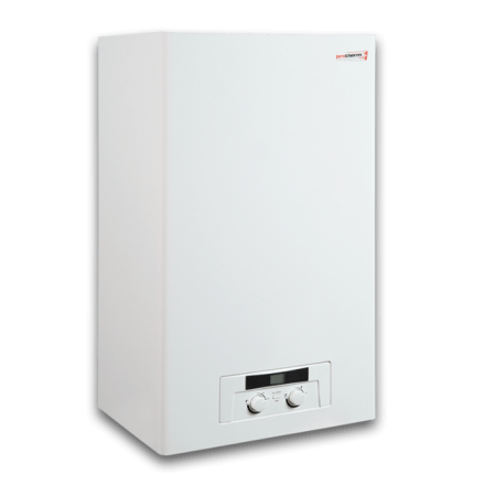 Газовый котел Protherm Пантера 25 KOV (atmo) в Пинске