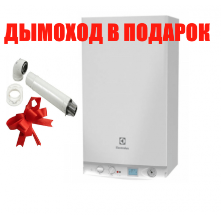 Газовый котел Electrolux GCB 30 Basic Space Duo Fi в Пинске