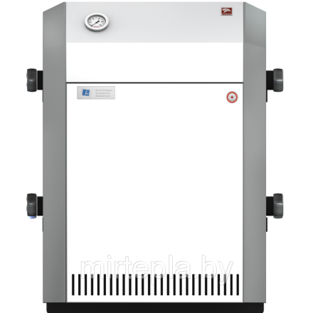Газовый котел Лемакс Патриот 10 в Пинске