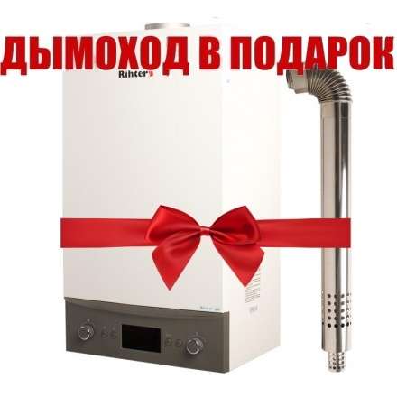 Газовый котел Rihters Econom 26 с дымоходом в Пинске