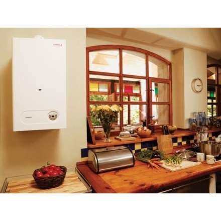 Газовый котел Protherm Тигр 24 KTZ в Пинске