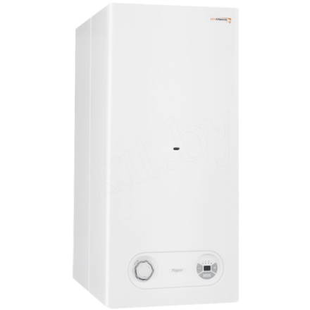 Газовый котел Protherm Тигр 24 KTZ в Пинске