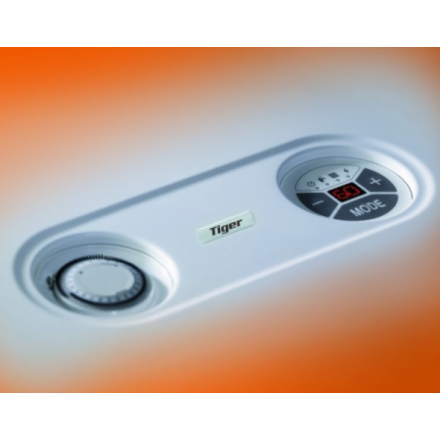 Газовый котел Protherm Тигр 24 KTZ в Пинске