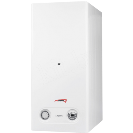 Газовый котел Protherm Тигр 24 KTZ в Пинске