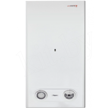 Газовый котел Protherm Тигр 24 KTZ в Пинске